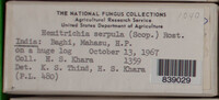 Image Associated With the Occurence